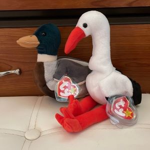 Rare TY Beanie baby bird lot